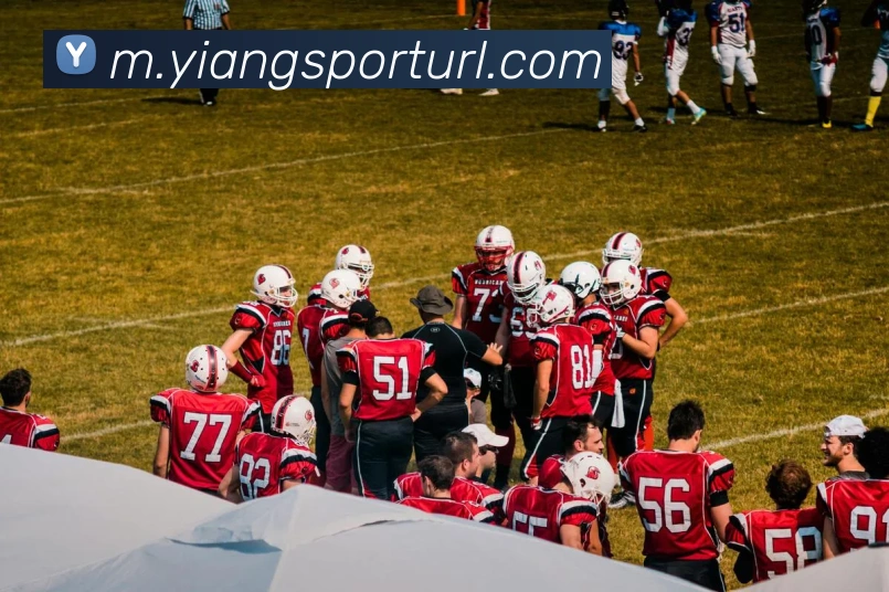 意昂体育APP 高清赛事图